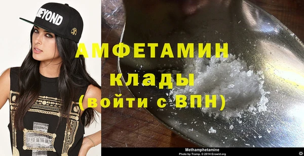 PSILOCYBIN Бородино