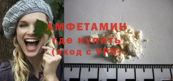 PSILOCYBIN Бородино